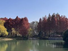 -尚贤河湿地