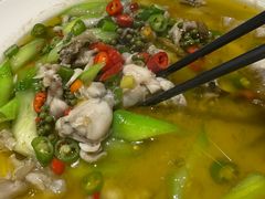 -三猫黑鱼花(南大店)