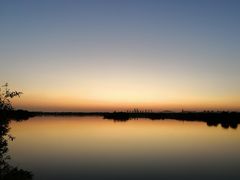 -贡湖湾湿地公园