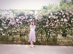 -苏州城市学院