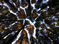 -山王坪喀斯特国家生态公园