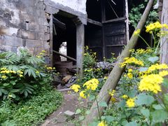 -公盂村