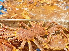 -蟹将军·松叶蟹和牛日料放题自助(K11店)