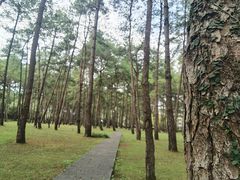 -Club Med地中海俱乐部·桂林度假村