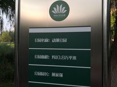 -国家动漫园