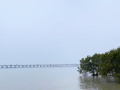 -宝安西湾红树林湿地公园