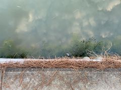 -湖滨客舍·湖北菜