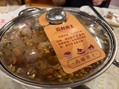 药膳锅底-百利鸽王(紫薇路店)