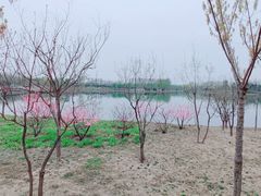 -东郊湿地公园