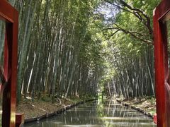 -同里国家湿地公园