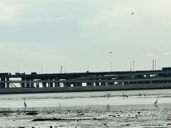 -宝安西湾红树林湿地公园