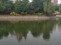 -迎泽公园