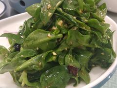 炝拌田七叶-正阳春烤鸭店(杨楼店)