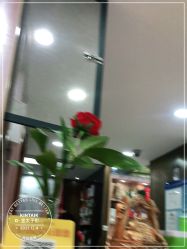 -金太子形象设计