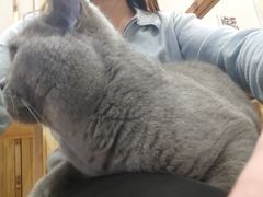 -Catmate·猫肥家润(金润铂宫店)