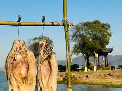 -东钱湖旅游度假区