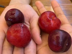 -老味道1992(武当山店)