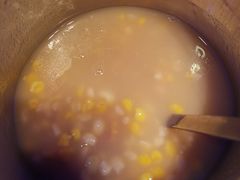 -挂雪铁锅炖大鹅