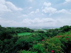 -广州莲花山旅游区