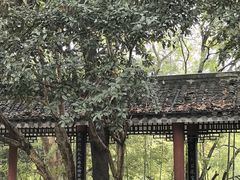 -潜山国家森林公园