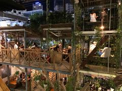 -Rainforest