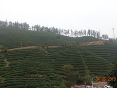 -心无尘茶餐馆(径山村店)