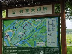 -泗洪洪泽湖湿地景区