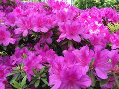 -苏州河梦清园环保主题公园