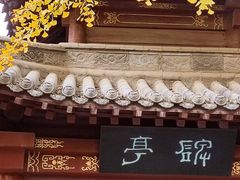 -碑林公园