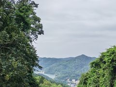 -广州市帽峰山景区