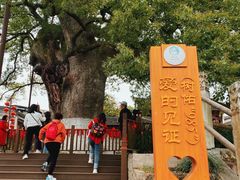 -新安江山水画廊风景区