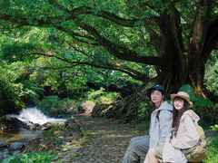 -广州市石门国家森林公园
