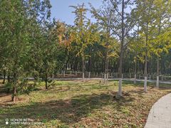 -永定河休闲森林公园