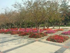 android_upload_pic-石家庄市植物园
