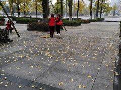 -百林公园-两江幸福广场