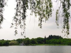 -上海共青森林公园