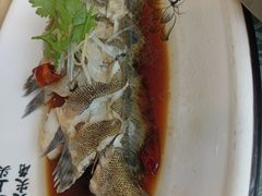 -韩记海鲜饺子旗舰店(红海新区店)