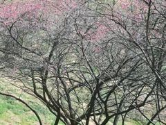 -溪口-滕头旅游景区