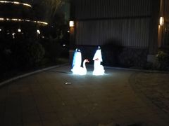-宁波杭州湾海底温泉