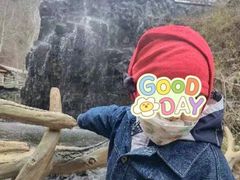 -凤凰山国家森林公园