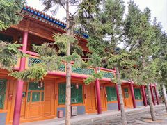 -东关清真大寺