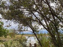 -野鸭湖国家湿地公园