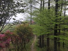 -溪口商量岗景区
