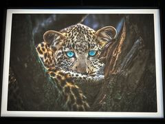 -罗红摄影艺术馆