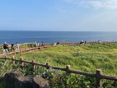 -涉地可支