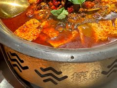 -探鱼·鲜青椒爽麻烤鱼(苏宁广场店)