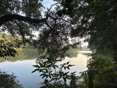 -红花湖景区