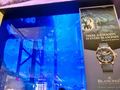 -迪拜水族馆及水下动物园