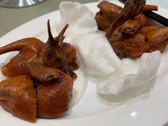 金牌妙龄鸽-鲍鱼王子(深圳大厦店)