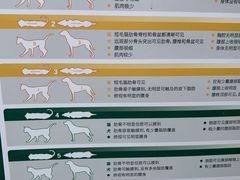 -宠颐生宠物医院外科·内科·皮肤科·影像科(石龙店)